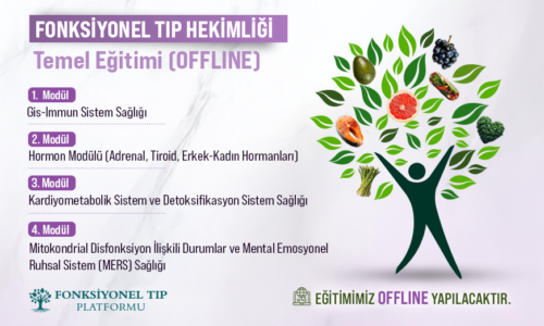 Fonksiyonel Tıp Hekimliği Temel Eğitimi (Offline)